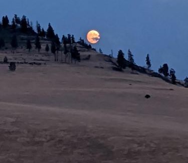 Plains Other | Remote Spacious Dome with Incredible Outdoor Landscape in Montana