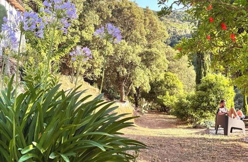 Sainte-Lucie-de-Tallano Apartment | Rent T2 Corsica near Propriano