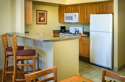 Harbor Village Resort | Resorts has more to offer than you have time for !