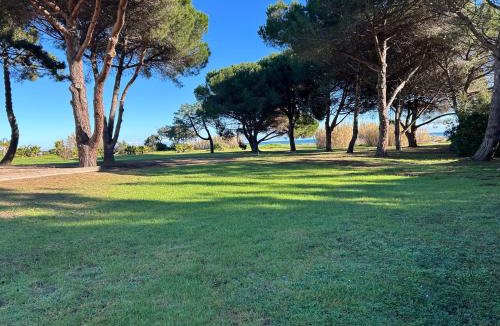 Poggio-Mezzana Apartment | Rez de Jardin Piscine et Plage