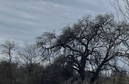 Raisin House | River country home- near Kingsburg