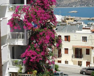 Karpathos Town Apartment | Roses Studios