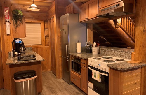 Medical Lake House | Ruby’s Resort Swedish Castle Log Home