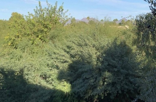 Paradise Valley Village Condo | Scottsdale Beauty 1 bed 1 bath Beautiful new furnishings
