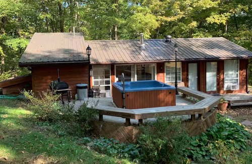Carpenter Cabin | Secluded Goldfinch Cabin 20 Minutes to Athens with Outdoor Hot Tub