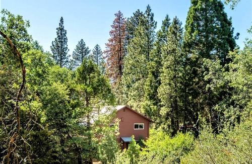 Camp Nelson House | Sequoia Trails - Trees, Mountain Adventure and A/C