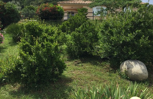 Ventiseri House | Serra Di Fium Orbu: house/villa - Commune de serra di fium'orbu