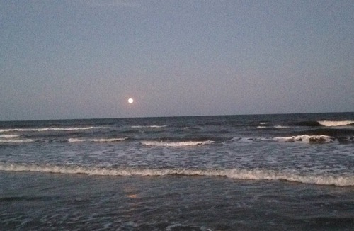 Isle of Palms Cottage | Short Walk to Beach- Close to Pier, Restaurants & Front Beach. Monthly Discounts