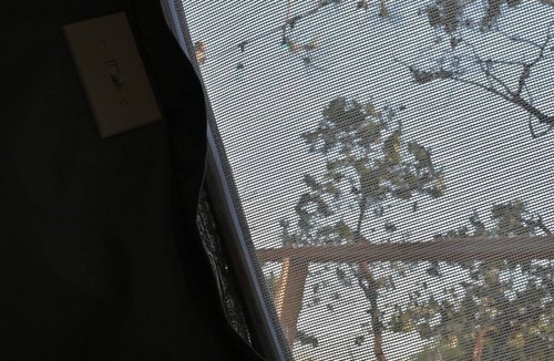 Dunlap Apartment | Sky Pod/Tree Tent#1