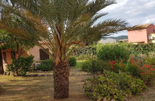 Porto-Vecchio Villa | Small house 4/6 persons 700 m from the beach of st cyprien