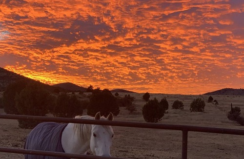 Elgin House | Sonoita, Elgin, Patagonia Wine Country Hideaway in Historic Southern Arizona