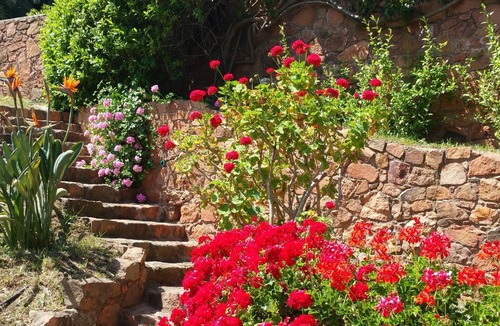 Osani Apartment | Spend exceptional holidays in a protected village , by the sea