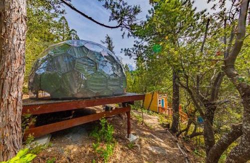 Bass Lake Other | Stargazing Dome with Forrest Cottage on Lakefront Property
