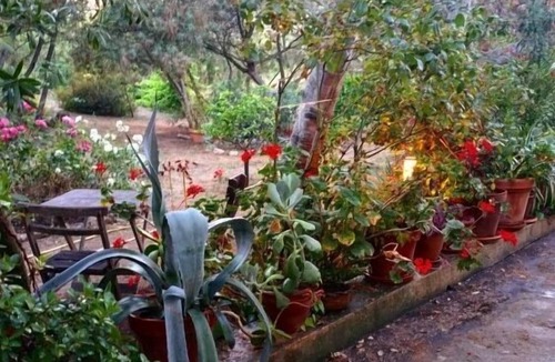 Calvi Apartment | Studio & large garden 200m Calvi beach
