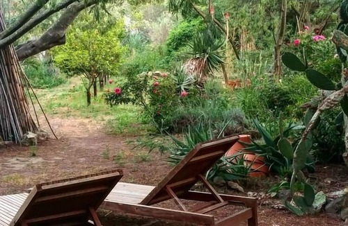 Calvi Apartment | Studio & large garden 200m Calvi beach