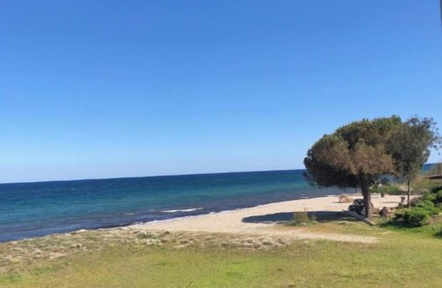 Moriani-Plage Apartment | Studio with ocean view – right on the water Pool & private parking