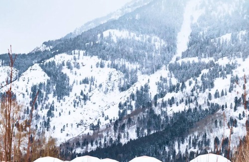 Teton Village Cabin | Tammah Jackson Hole