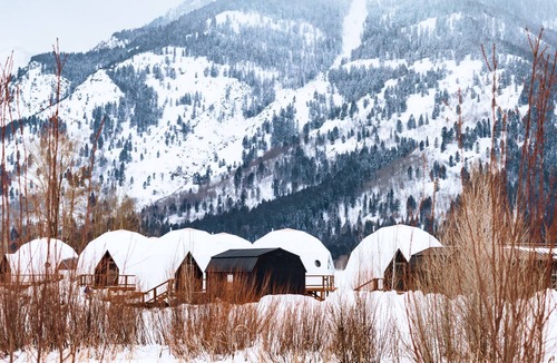 Teton Village Cabin | Tammah Jackson Hole