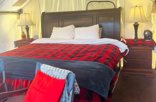Conner Other | Tent 2 Oxen-Le-Fields Montana