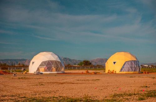 Willcox Other | The Beer Dome