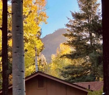 Alpine Cabin | The Chalet for 20 Great for groups