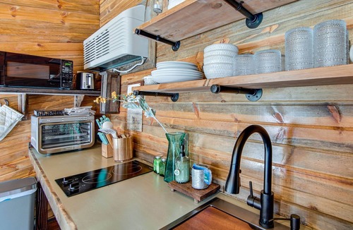 Pioche House | The Lion's Den