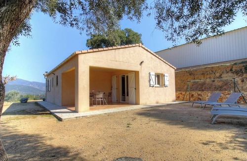 Sollacaro House | The olive grove 1 - SOLLACARO