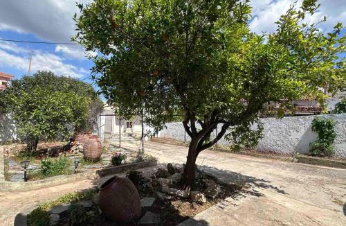 Kropia House | Themistoklis house