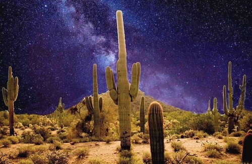 Florence RV Rental | Tranquil Bell tent near Tucson