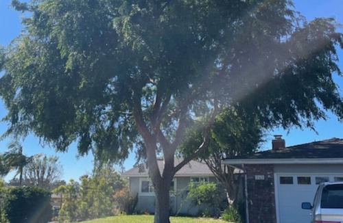 Goleta House | Tranquil Goleta 3/2 Home, Pool & Spa, WIFI, near Beaches, Golf, UCSB, Fun/Relax!