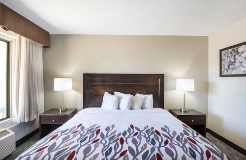 Feldman's Hotel | Tucson Deluxe King Room Near Downtown Dining, Zoo & Stadium Events