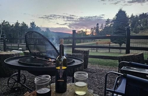Custer County Cabin | Two Bears Cabin: Secluded Mountain Retreat near Lake Isabel.