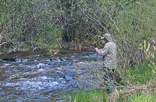 Kellogg RV Rental | Up River Getaway. Complete 30/50 RV Site. Hike, Fish, Float, Relax!