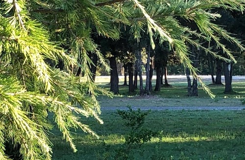 Poggio-di-Venaco House | Villa à la Montagne,piscine,domaine 20ha,rivière