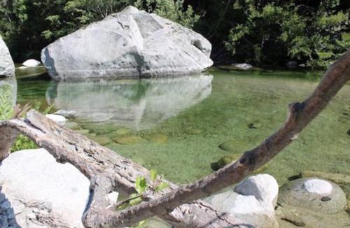 Santa-Maria-Poggio House | Villa ALOHA-65m2 garden/Swimmingpool - 500m Beach