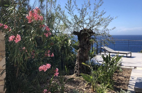 Calvi Villa | Villa Calvi, 100 m seaside, 800 m Cité, 235m², heated swimming pool