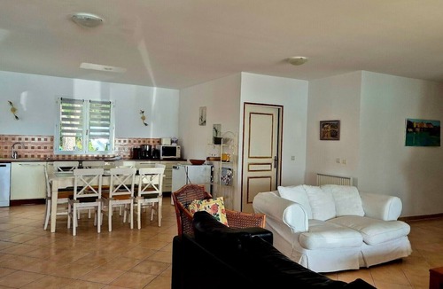 Linguizzetta Villa | Villa l'Alivu: terrace and pool