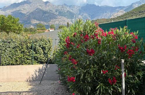 Calenzana Apartment | villa Morgane