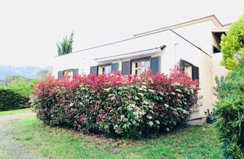 Oletta House | Villa Oliera