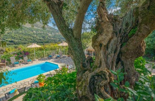 Divarata Villa | Villa Regina -Hidden Eden with Treehouse & Heated Pool