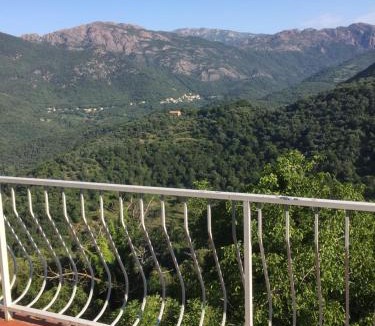 Sainte-Lucie-de-Tallano Villa | VILLA SANTINE AVEC TERRASSES et VUE PANORAMIQUE meublé tourisme 4 étoiles