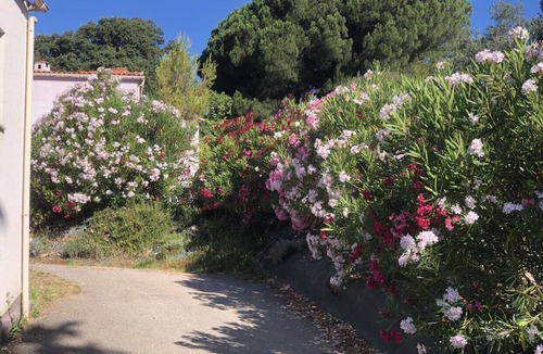 Valpaja Villa | Villa with SPA swimming pool pétanque court 15 min from Ajaccio and Porticcio