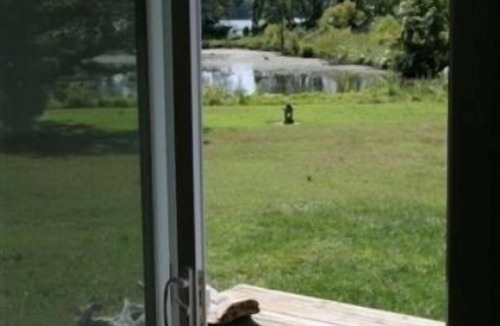 Bryans Road Cottage | Waterfront Sunset Nature Reserve Kayak Eagle Osprey Snakehead Butterflies