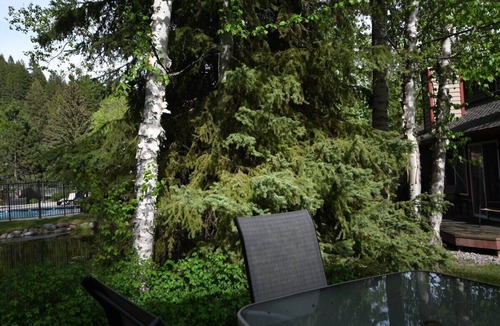 Whitefish Condo | Welcome to Mountain Harbor Tranquil Cove Condo 208