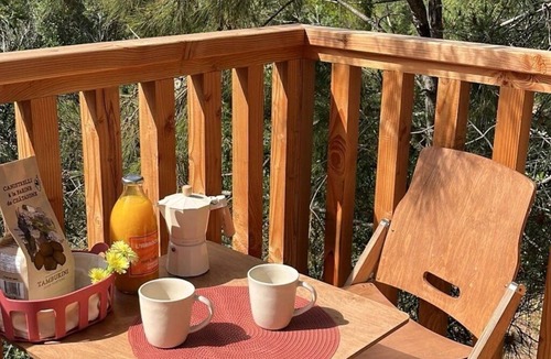 Pinarellu Cabin | ZEcamping 3* 1km plage piscine dog friendly animations chalet BBQ 18m2