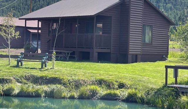 2 BR-1BA Cabin on Main Street. Stocked trout pond, porch, grill, good dogs free🐾