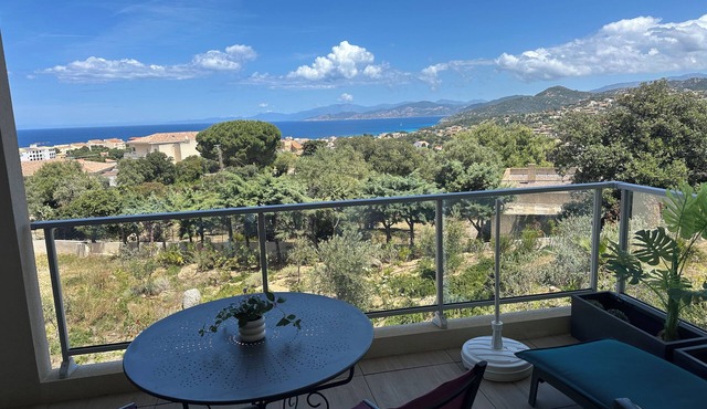 2-room apartment with sea view and terrace -near the beach and shops