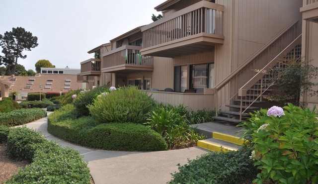 300 Glenwood Circle 1 bd Condo - Charm, Quiet, Spacious with Pool, Gym, Balcony