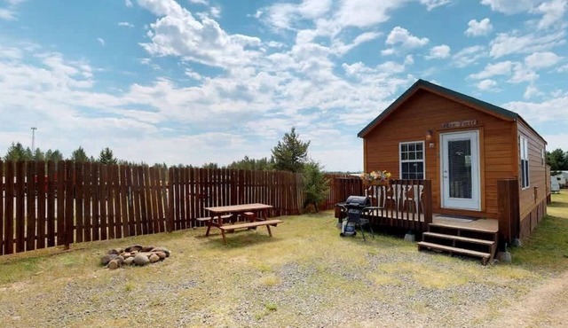 32 MI to Yellowstone | Mountain Views | Foxtail Cabin
