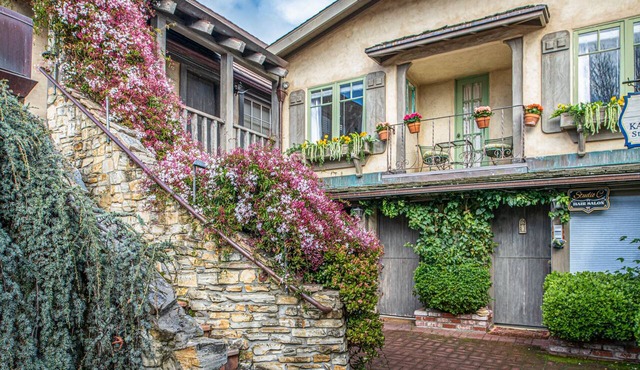 3795 The Artist's Way - Adorable Downtown Flat